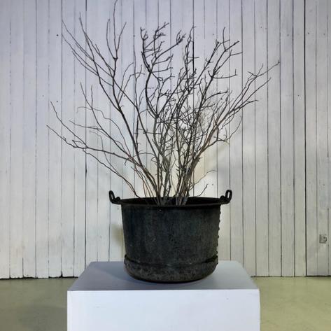 1880 metal riveted planter