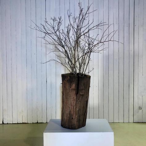 1900 French wooden planter 