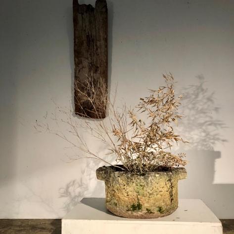 1950 primitive concrete planter