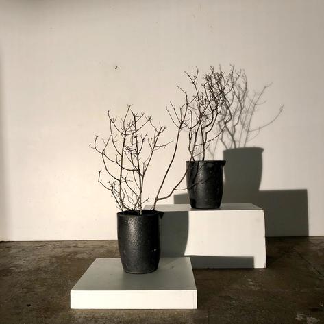 1950 primitive fondery pots