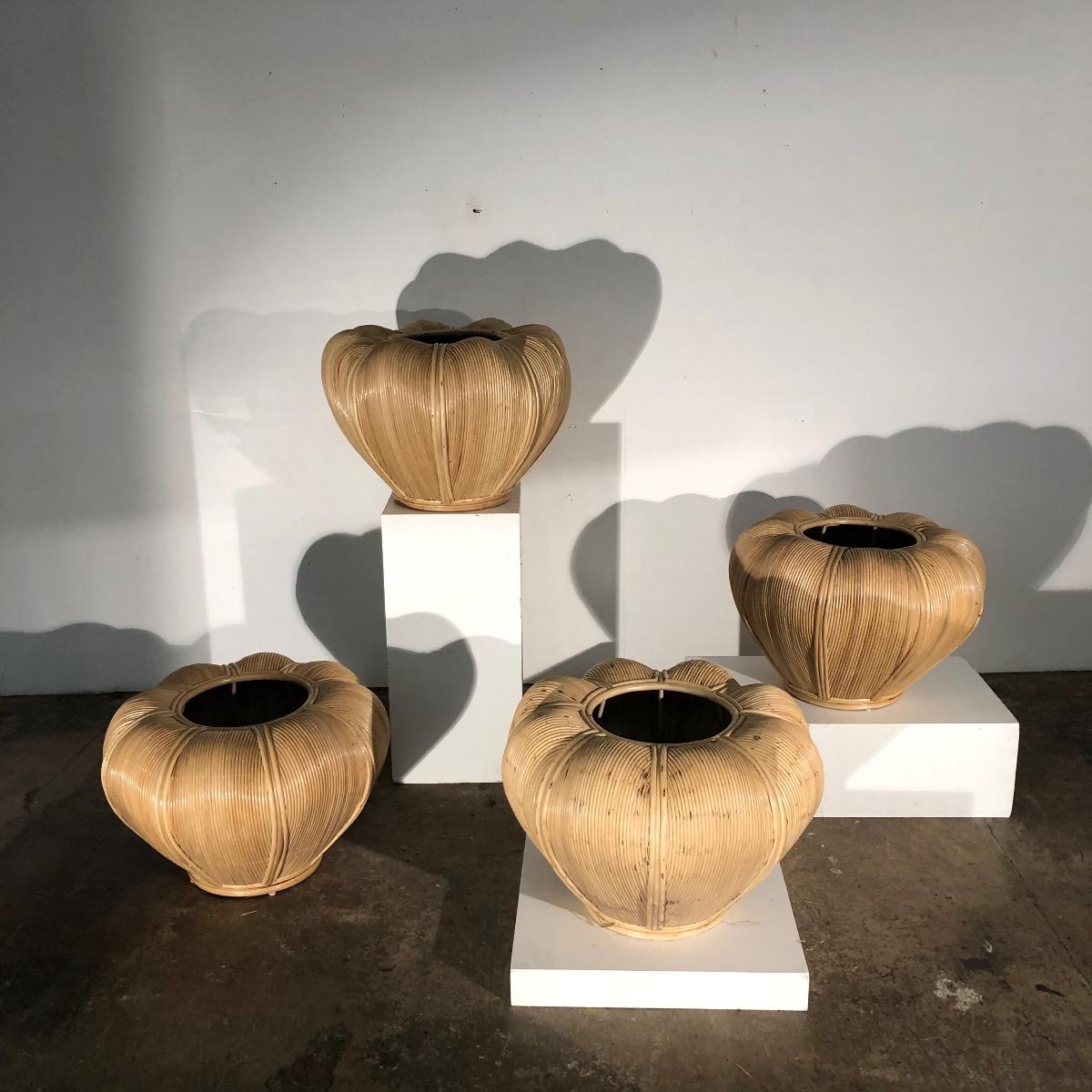 Large rattan 1970 planters 