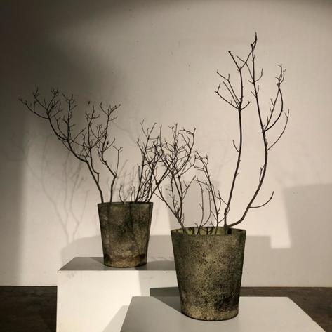 Pair of 1970 flower round concrete planters