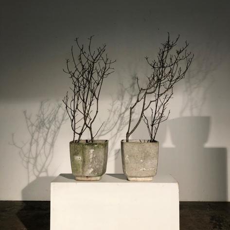 Pair of 1970 Willy Guhl planters 