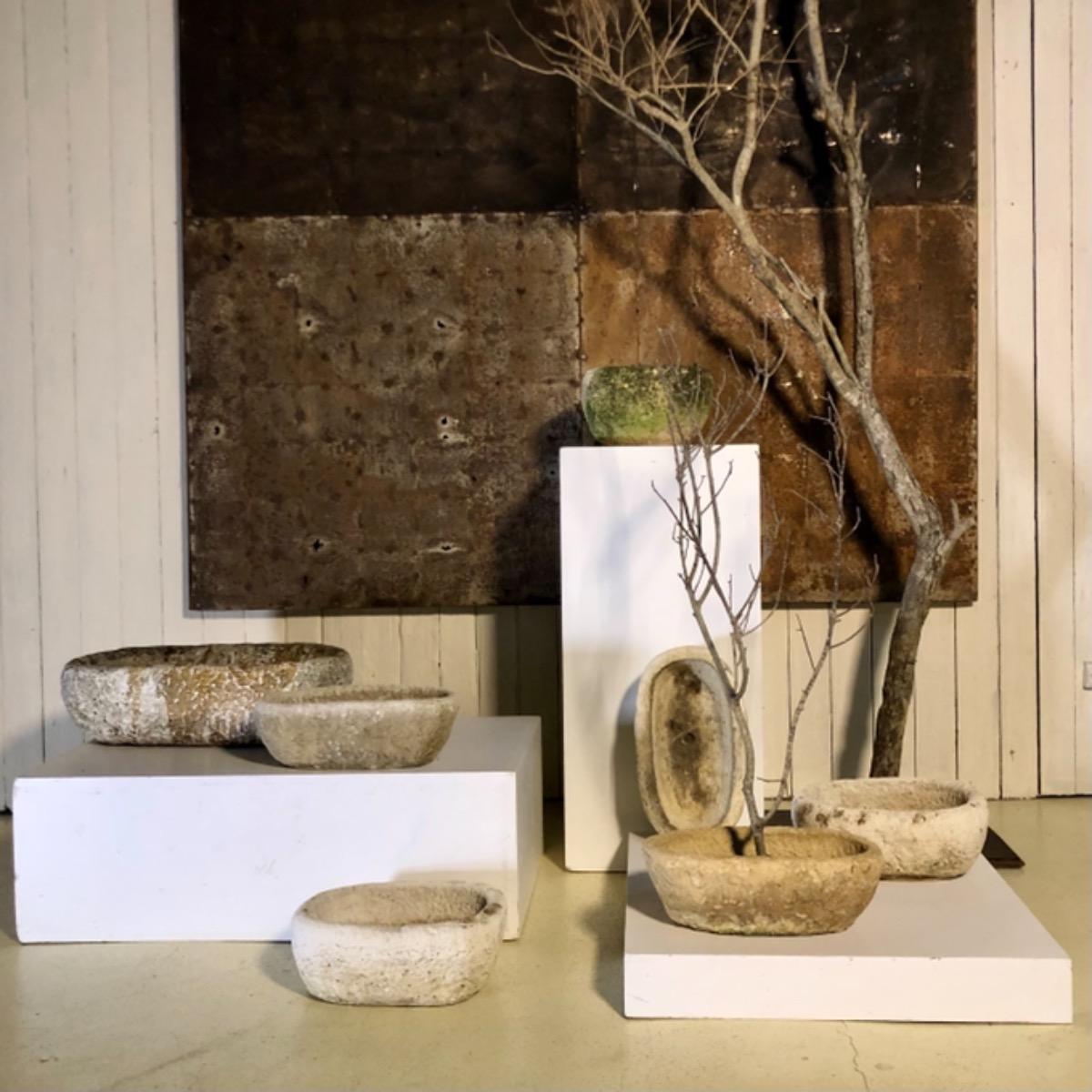 Set 7 primitive concrete planters 