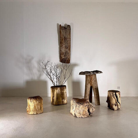 Set of 5 primitive wood elements 