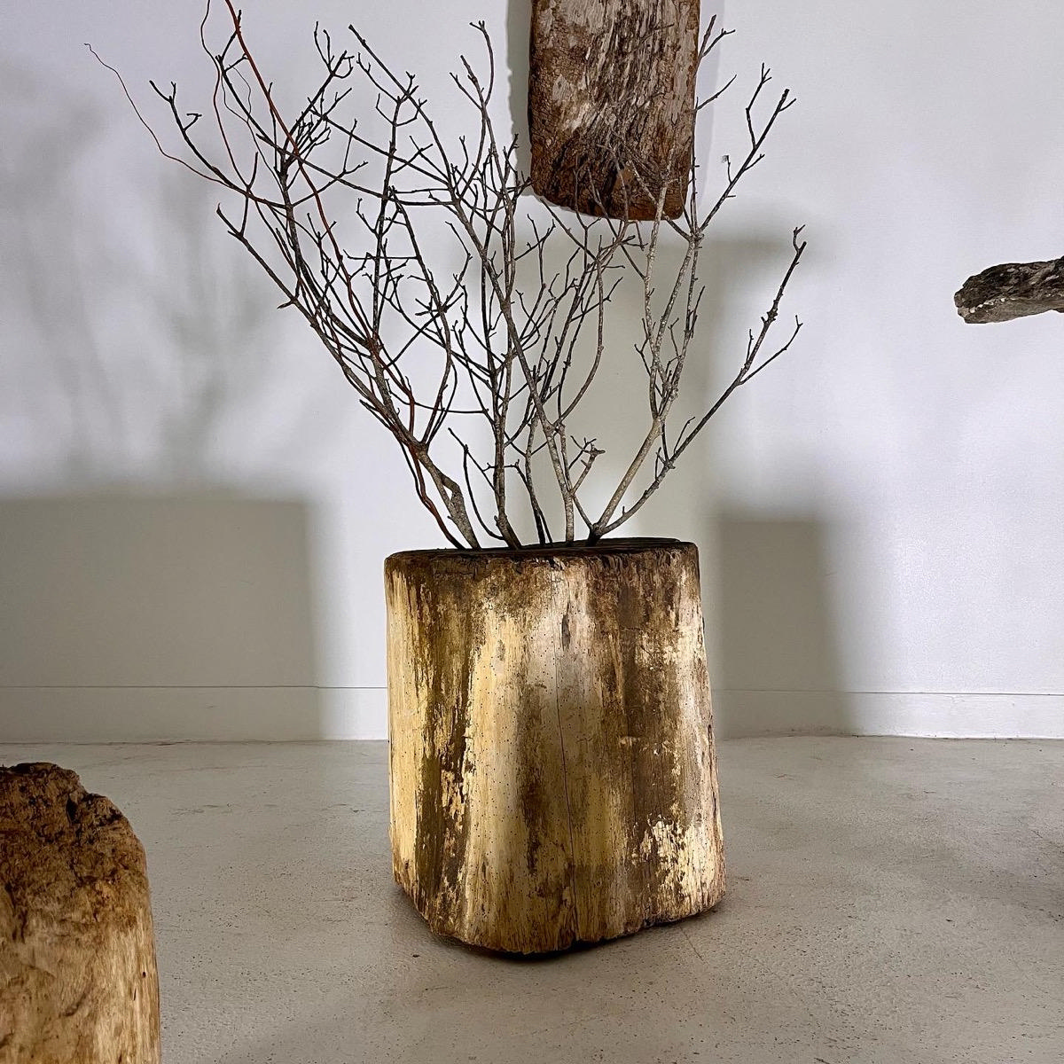 Set of 5 primitive wood elements 