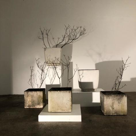 Willy guhl concrete planters