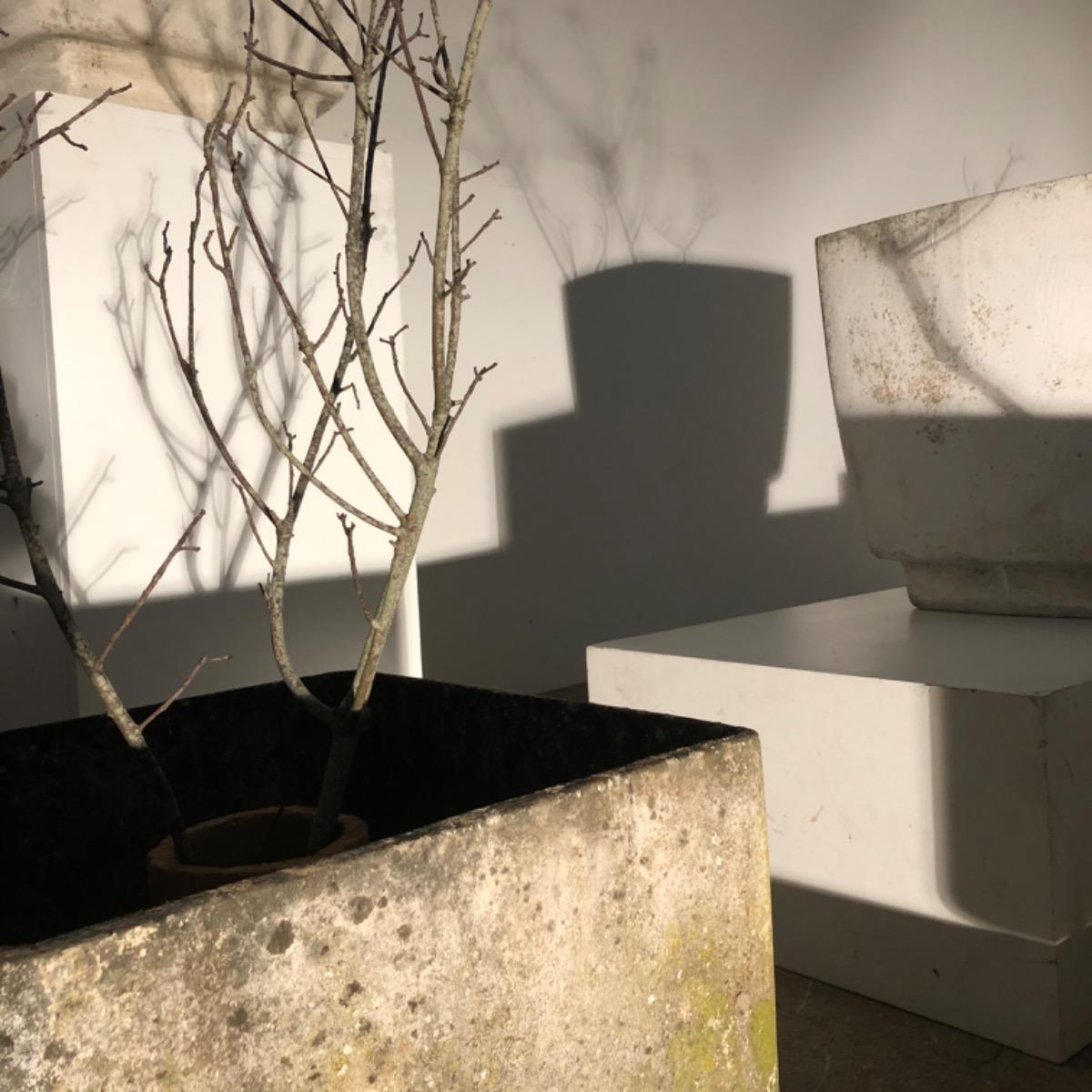 Willy guhl concrete planters